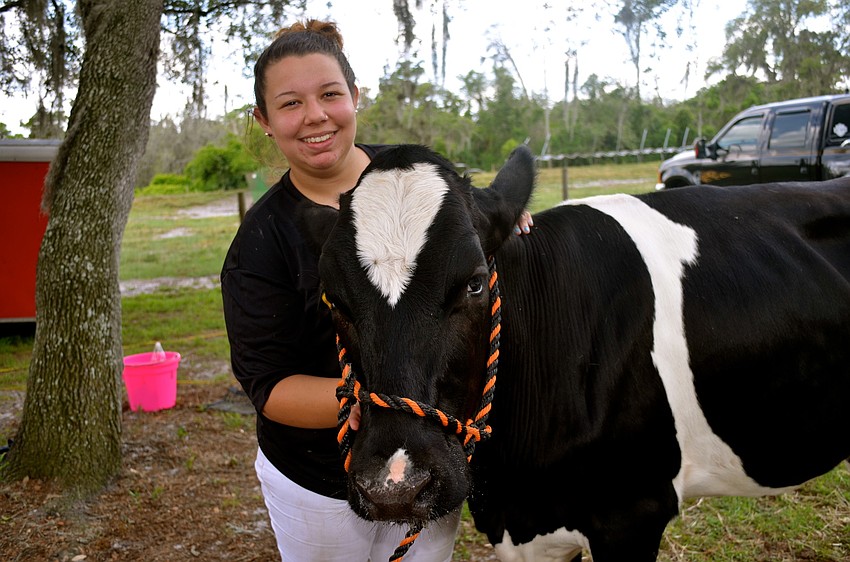 Felicia Foute shows off her cow, Marabell.