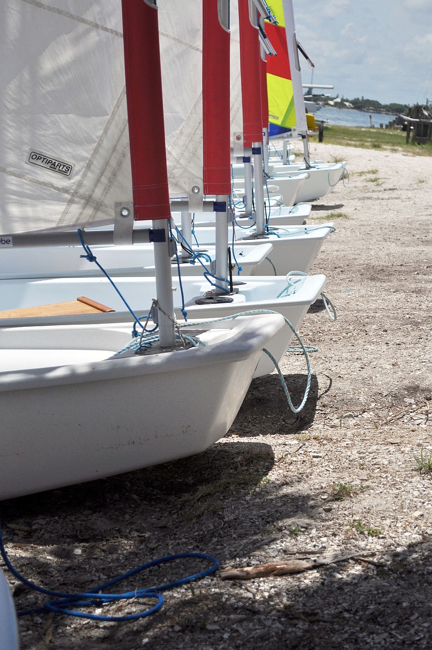 Students use sailboats like these optiâ€™s in SYSPâ€™s summer sailing camp to learn the basics of sailing.