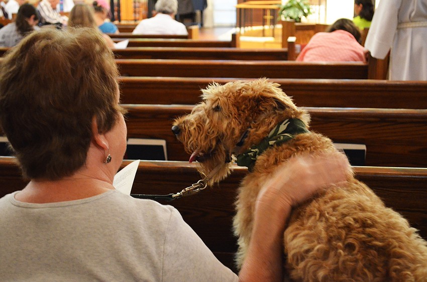 Mary Gordon pats 7-year-old Irish terrier, Donegal during the pet blessing service.
