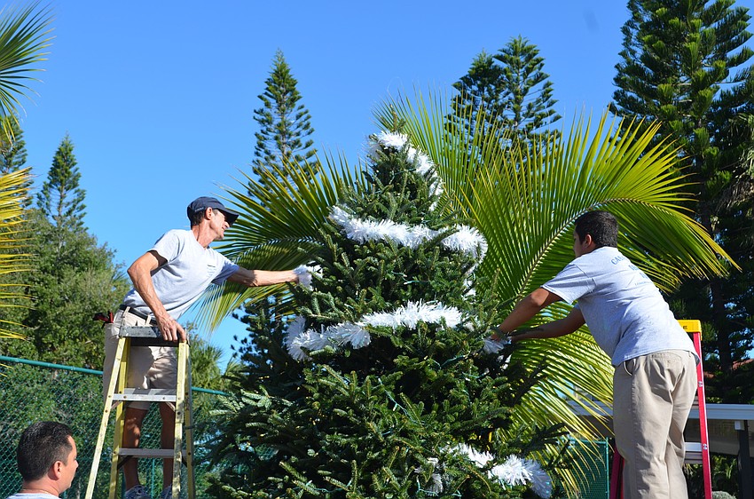 Jim Gottschalk and Leon Cavazos decorate the tree with tinsel.