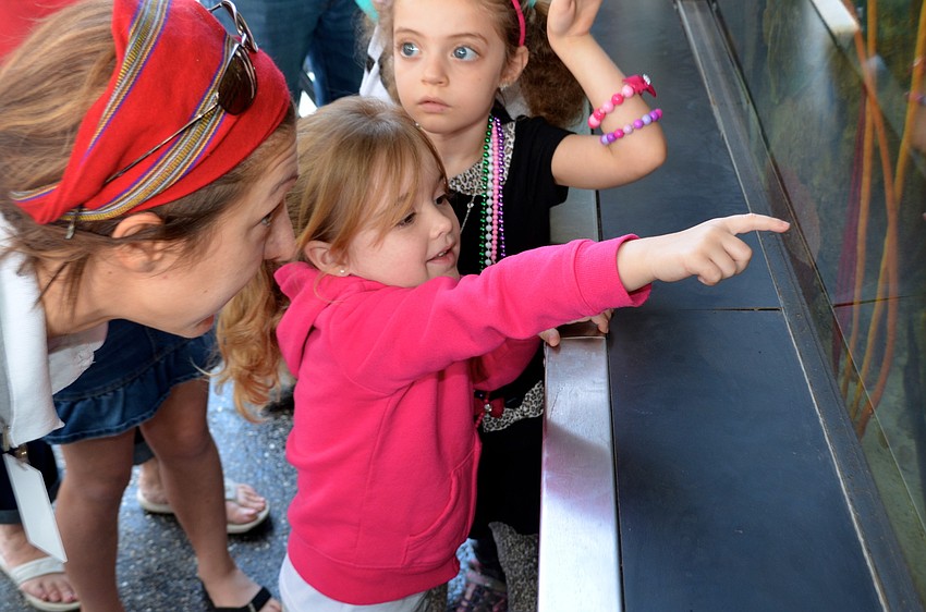 Sarah Rubin listens to Sophia Delacruz's questions about marine life.