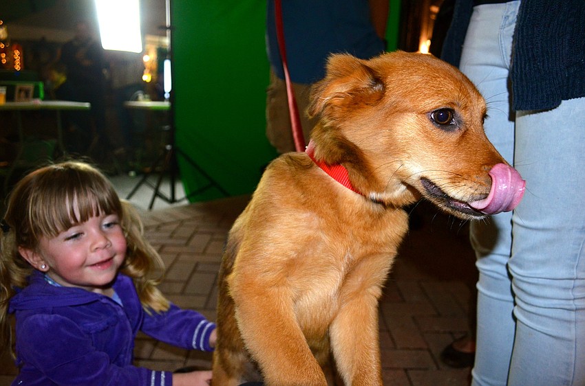 ReAnn Kolbe makes a new friend â€” a golden retriever-German shepherd mix named Daisy.