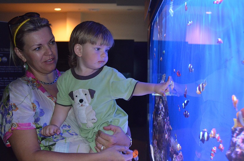Inna and Johnny Snyder check out the clownfish.