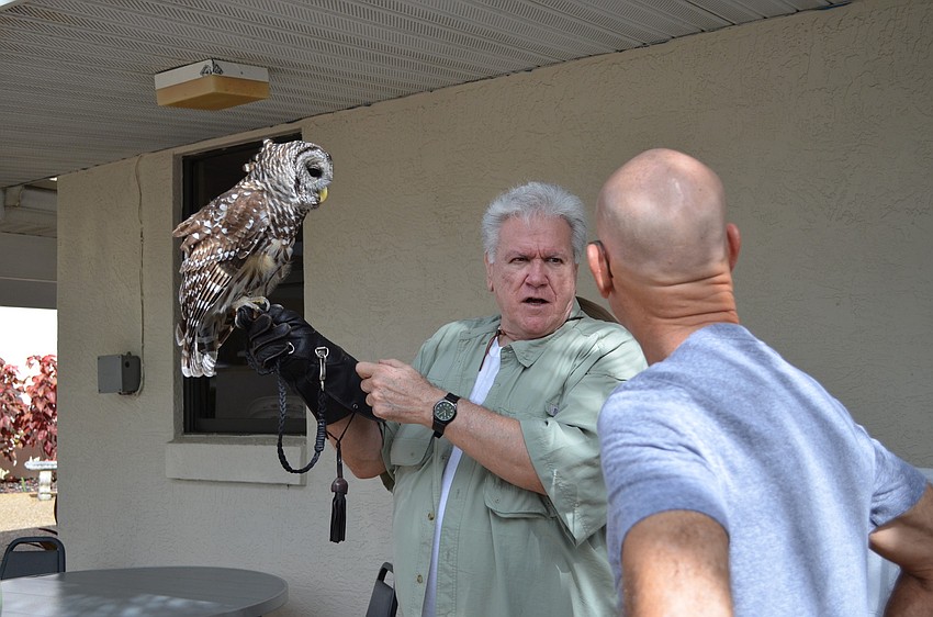 Jim Solomon of Save Our Sea Birds introduces Nove, a Flroida Barred Owl to Doug Francis.