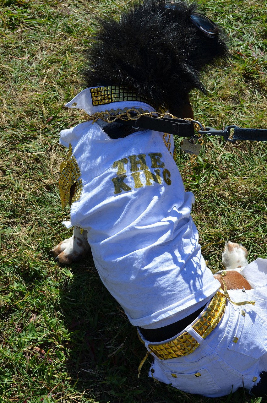 The back of Oscarâ€™s costume.