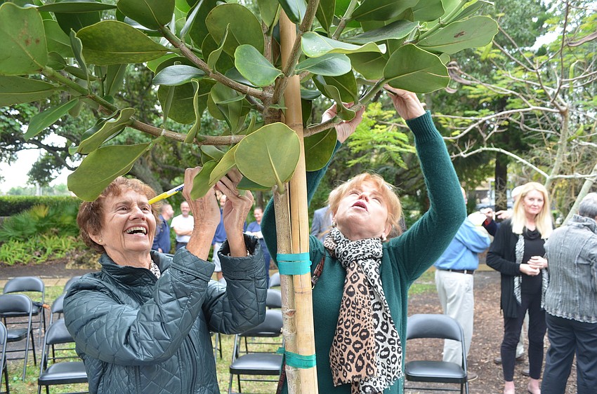 Barbara Livingston and Kathy Gricius â€œautographâ€ the tree.
