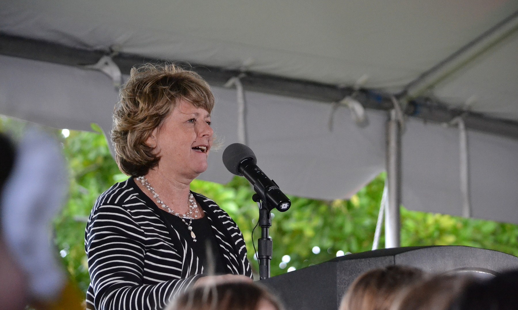 PHOTO GALLERY Gulf Gate Library Opening Your Observer