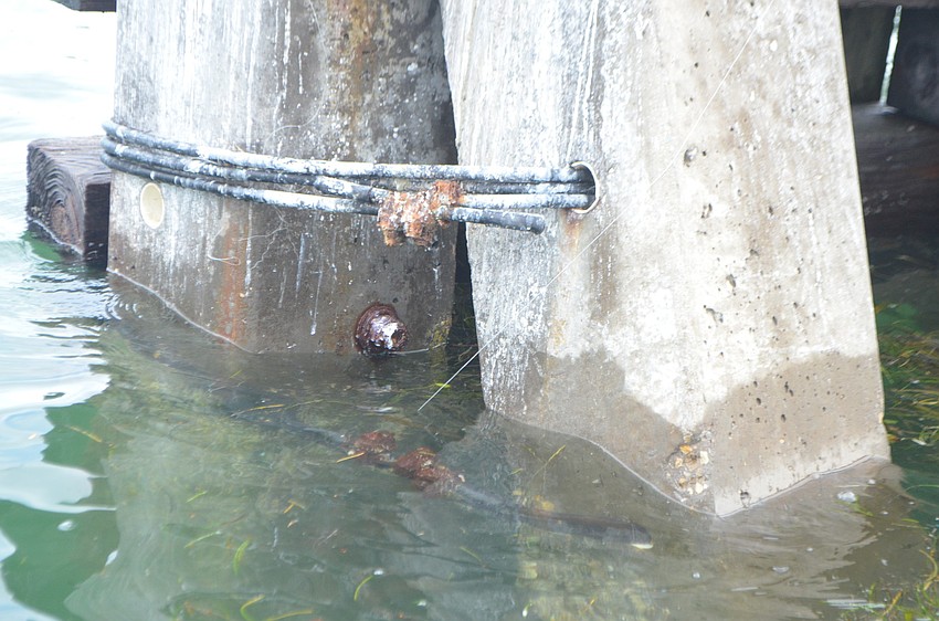 One of the main goals of the event was to help raise awareness of the proper ways to dispose of fishing equipment so it does not become entwined on docks, coastlines, mangrove trees and other places birds congregate.