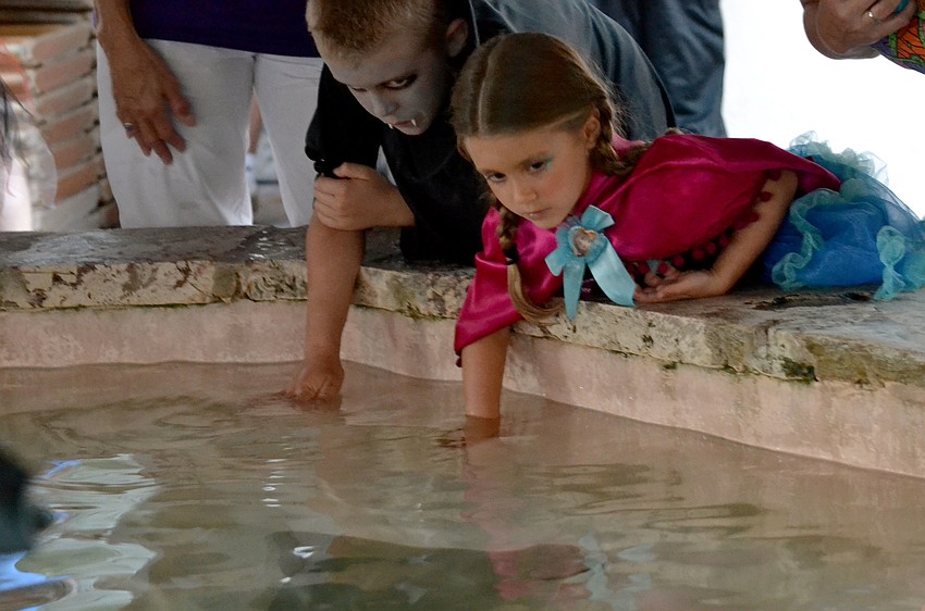 Tyler Hill and his sister Taylor reach out to touch the stingrays.