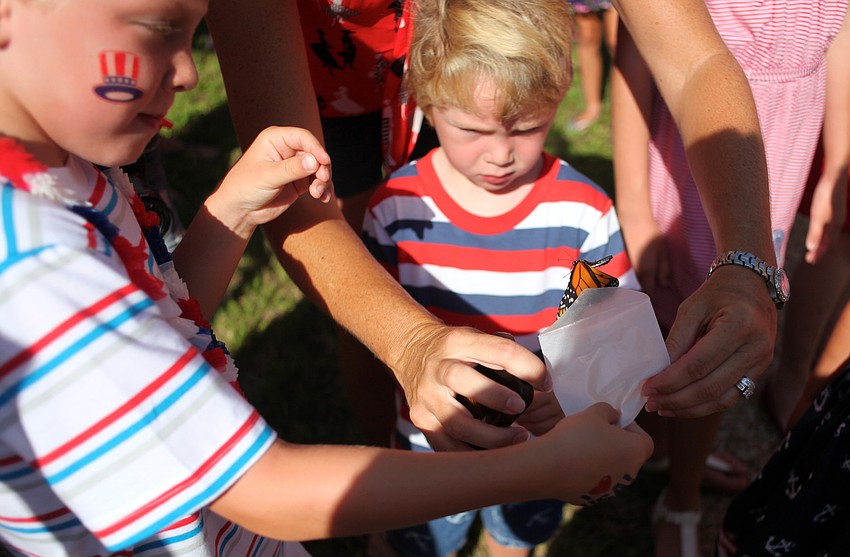 Luke and Matthew Winsper release a butterfly.