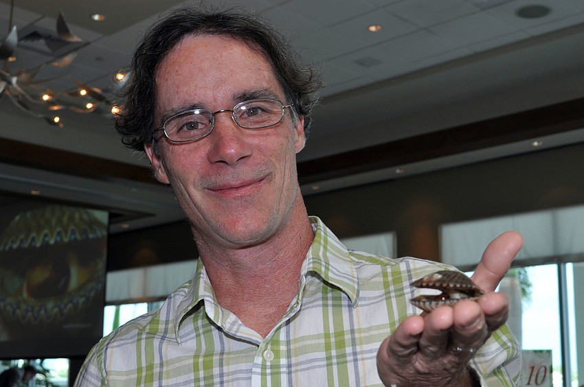 Curt Hemmel, owner of Bay Shellfish Company, holds up a scallop at the 4th annual Scallopalooza. Bay Shellfish Company has grown scallops used for Sarasota Bay Watchâ€™s restoration project.