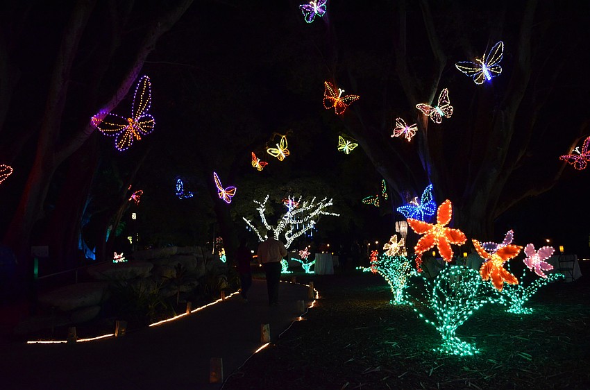 Butterflies made of lights lead the way for guests through the Lights in Bloom display.