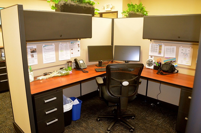 The Alliance's new office features five cubicles.