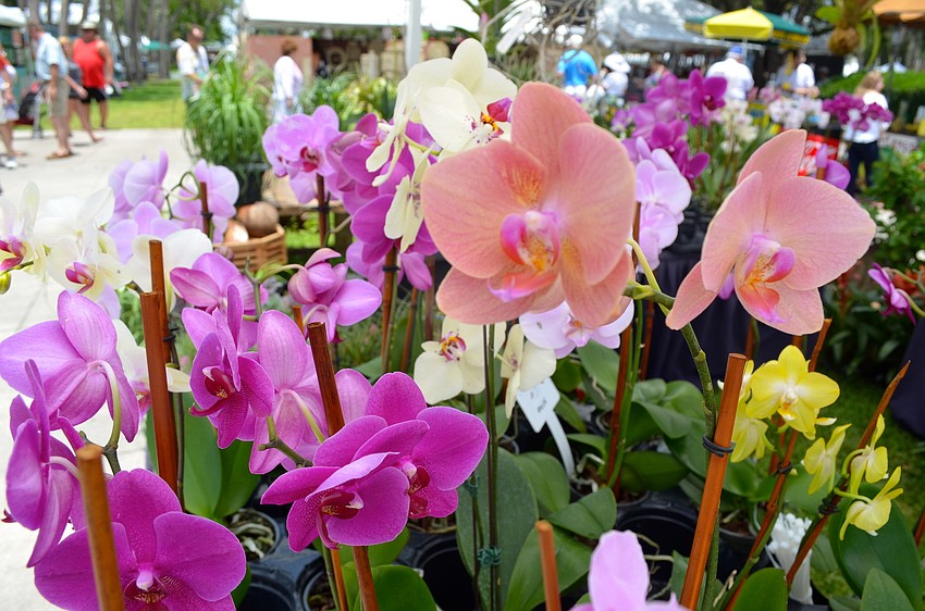 The festival featured a green market, which sold orchids, bulbs and more.