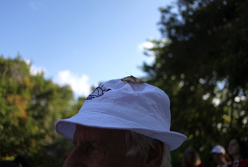 A butterfly landed on the hat of Ed Zunz shortly after the release.