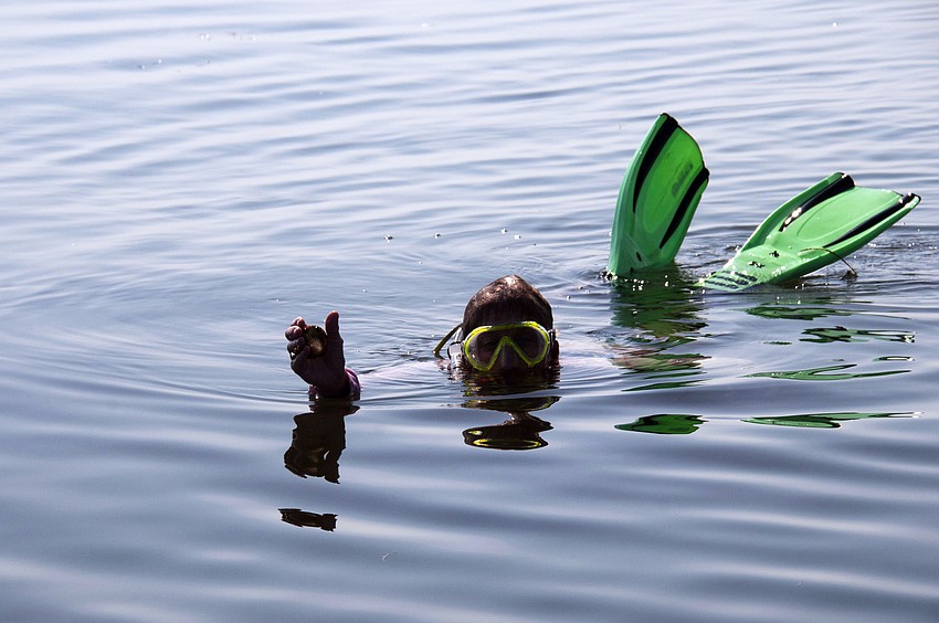 Ronda Ryan holds up a scallop she found during the scallop search.