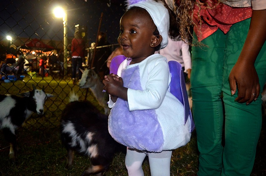 Alaina Lang is excited to pet goats and other animals.