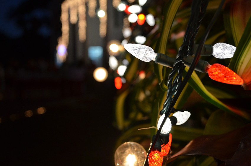 The bromeliad tree was covered in red and white bulbs.