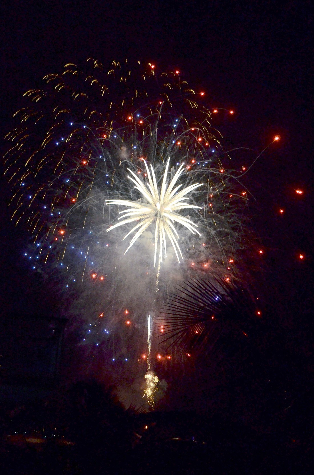 Your Observer Photo Fireworks light up the sky over Siesta Key