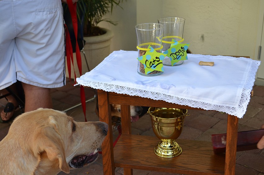 Treats for canines and felines were available for well-behaved pets.