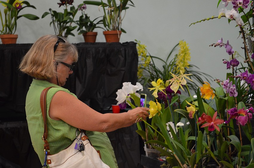 Gina Thomas snaps some photos of exotic breeds of orchids.