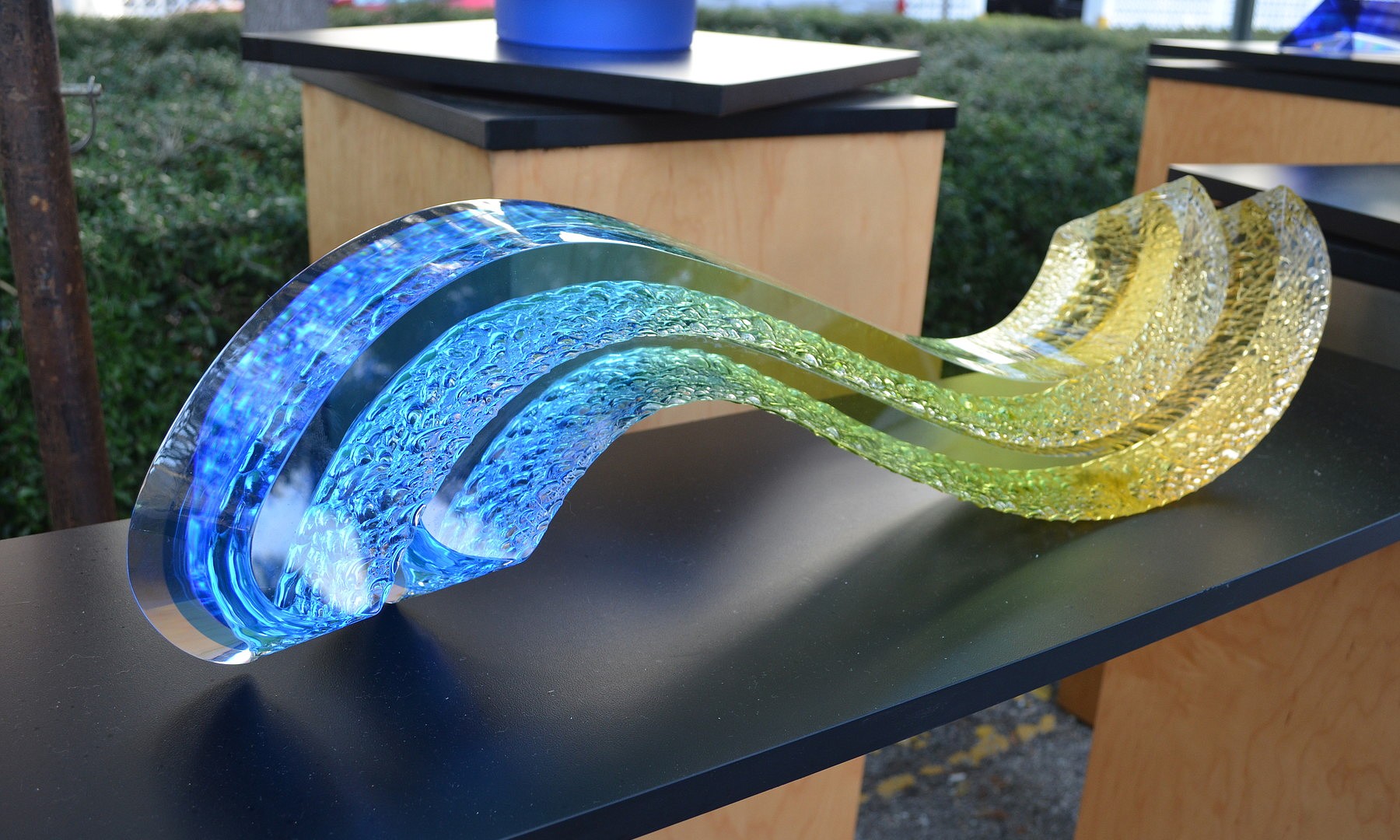 PHOTO GALLERY Sarasota Fine Art Festival Your Observer