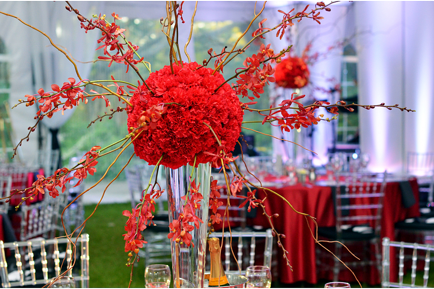 The 2015 Orchid Ball was themed "A Ruby Affair: A Night of a Thousand Blooms"