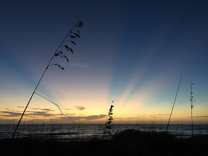 Cindy Bucklen submitted this photo of a Longboat Key sunset.