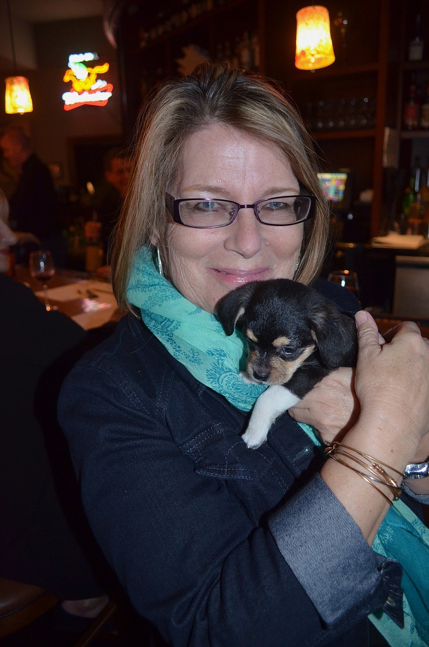 Carol Beatty might have to add another family member  to her home after meeting one of Nate's Honor Animal Rescue's newest arrivals.