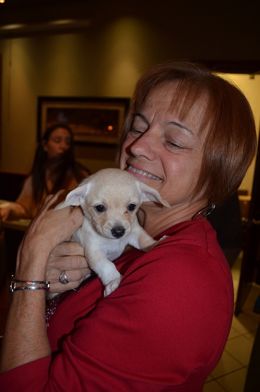 Cher Grossman volunteers at Nate's Honor Animal Rescue.