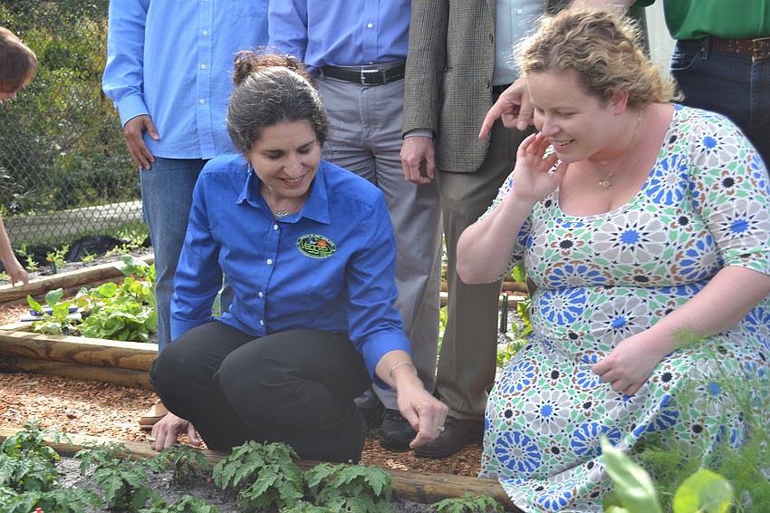 Lead Veggie Scientist at NASA Gioia Massa and Veggie Engineer Nicole Dufour inspect the tomato plants in the Pine View School garden.