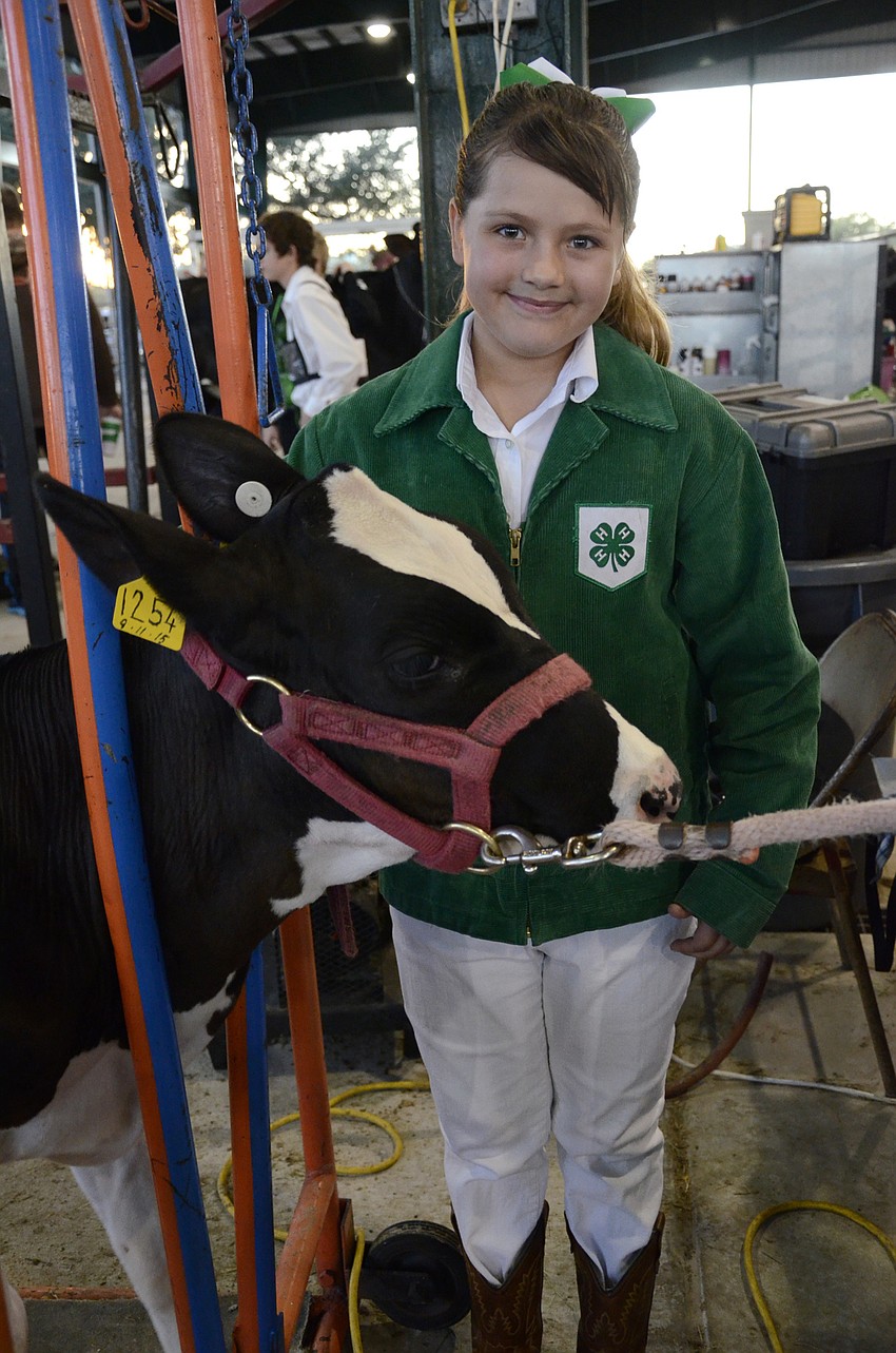 Amberly Willis, a member of the Mighty Fine Stock 4-H Club of Myakka City, is showing for the first time this year with 
