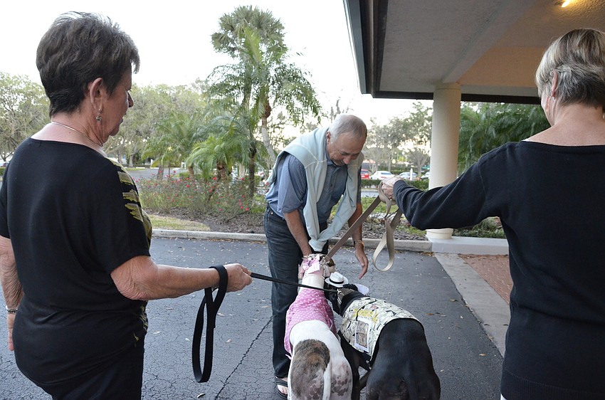 On his way to dinner with his wife, Jane, Chuck Hofius pets Gracie and Buddy, with Gerri Harrison and Kathy Pontillo with the Racing Dog Retirement Project.