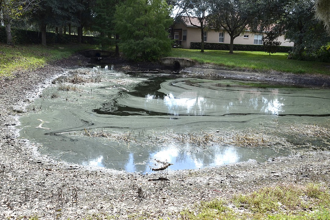 Tara Preserve CDD moves forward on filling nuisance pond Your Observer