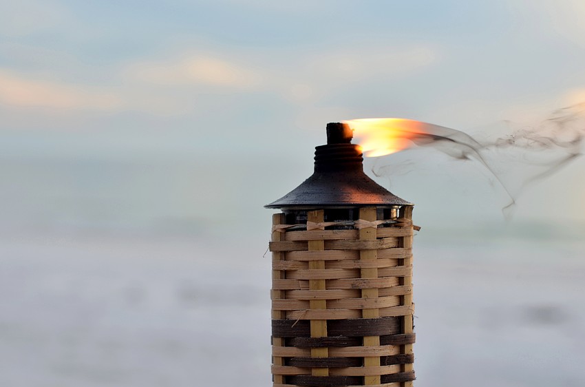 Make-A-Wish of Central and Northern Florida hosted Wishes on the Water on Thursday, Jan. 22, at The Ritz-Carlton Beach Club.