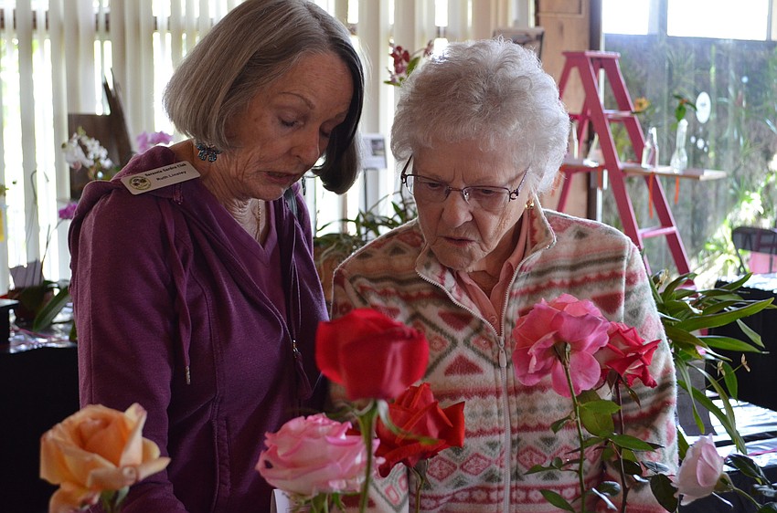Ruth Linsley and Wanda Thacker inspect the rose submissions.