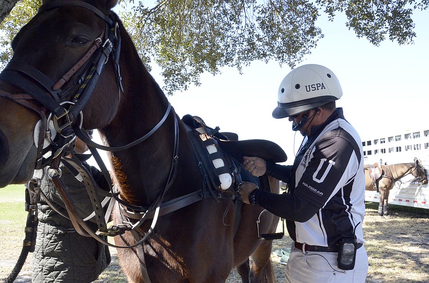 Umpire Ronnie Hayes helps get Lady suited up for the match.
