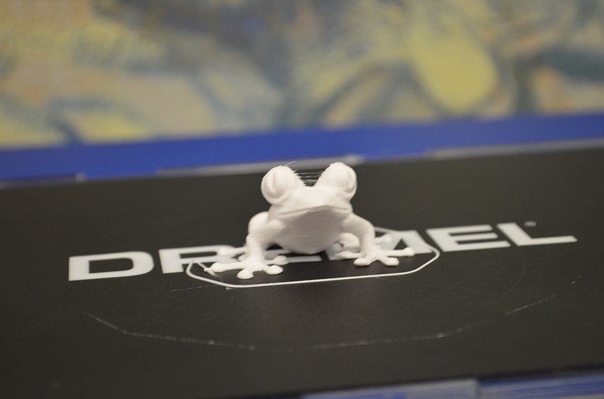 A tree frog was printed using the new 3D printer in the Shooting Star Lab.