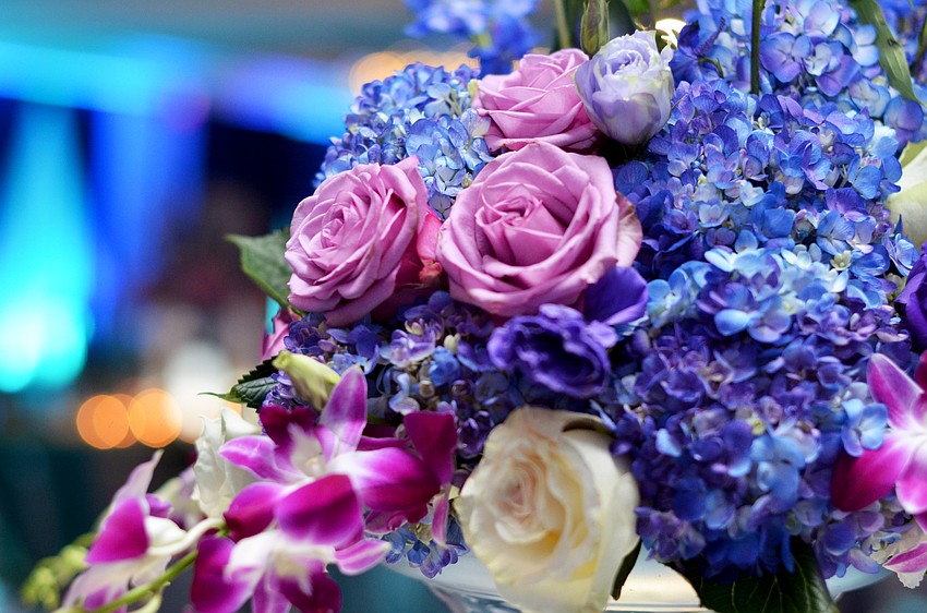 The 2016 Catholic Charities Ball was held on Saturday, Jan. 30, at The Ritz-Carlton, Sarasota.