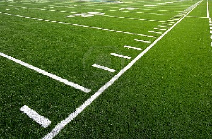 Three Manatee County high schools received golden footballs, because Super Bowl participants, such as Dominique Rogers-Cromartie, graduated from there. Cromartie graduated from Lakewood Ranch High School.