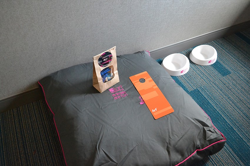 Aloft Sarasota accommodates dog lovers and their best friends with complimentary treats, toys and beds.