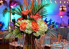 The Palm Ball, Connect. Reflect. Protect., was hosted on Saturday, Feb. 6, at Bay Preserve.