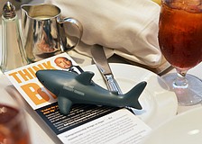 Stress sharks were part of the decor at the 2016 Better Together Luncheon. Daymond John, co-star of Shark Tank, was the speaker at the event.