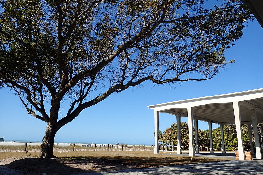 a 40-plus-year-old Mahogany tree planted in memory of a former lifeguard, Jeff Muller.