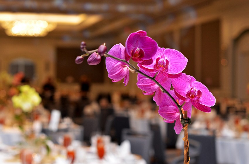 Each table centerpiece featured an orchid.