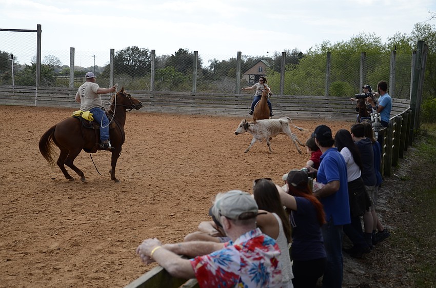 The crowd cheers on a calf roping team.