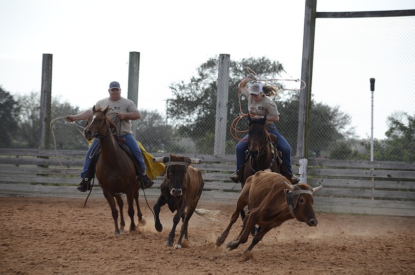 The Polo Grill roping team tries to rope a steer.