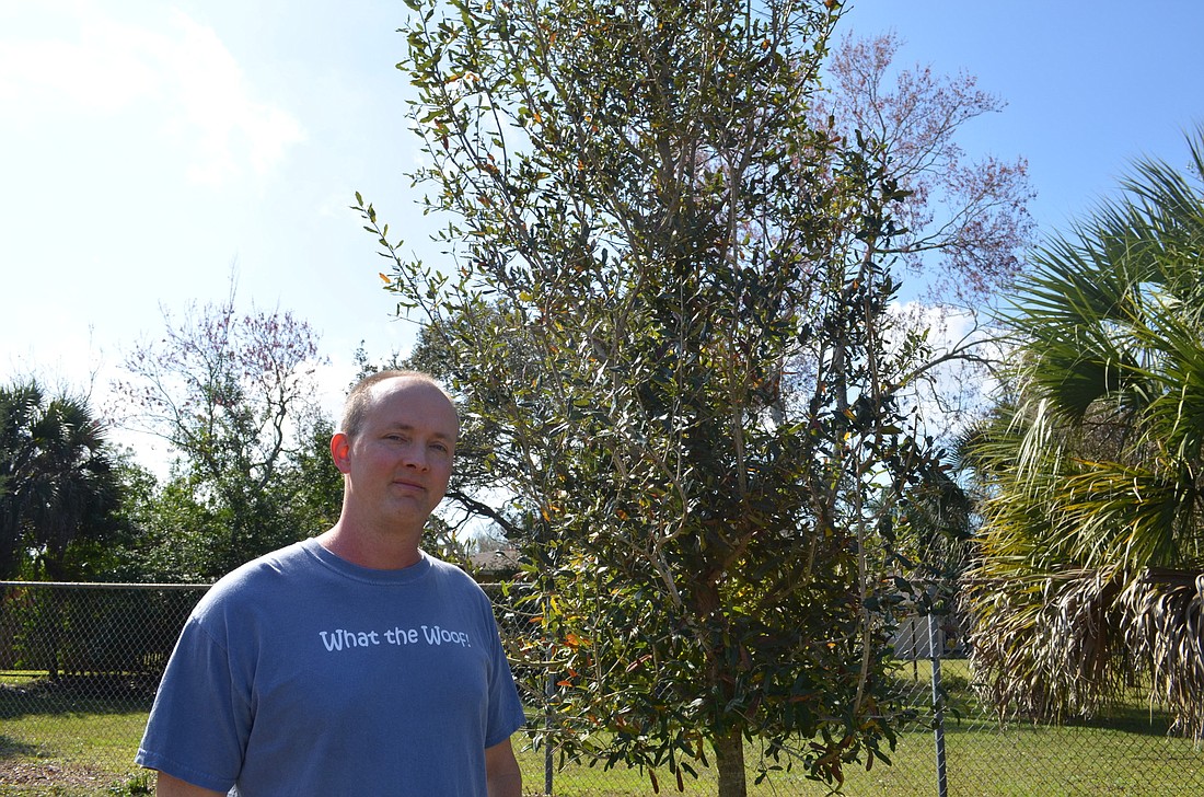Arlington Park resident Nathan Wilson has dedicated time to maintaining two trees in the neighborhood dog park, part of a broader effort to preserve and protect trees in the city.