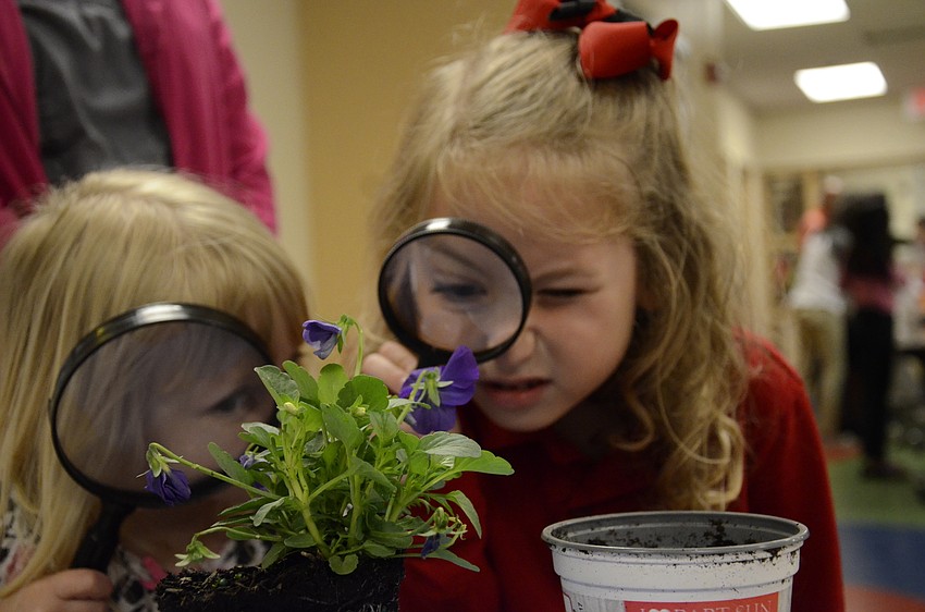 Audrey and Samantha Haney examine a plant.