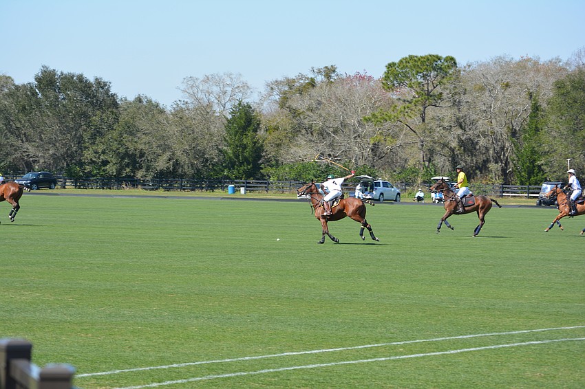After the dogs received most of the attention early, everyone turned their attention to an exciting polo match.